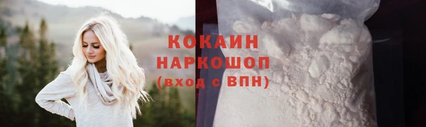 spice Алзамай